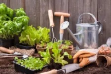 Your Garage Is the Perfect Place for a Garden This Spring