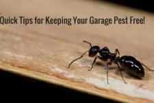 5 Quick Tips for Keeping Your Garage Pest Free!