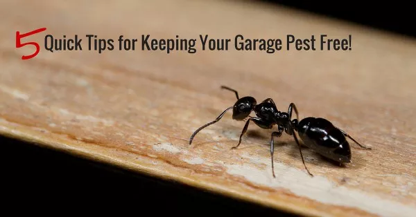 How Spending More Gets You WAY More on YOUR Garage Door
